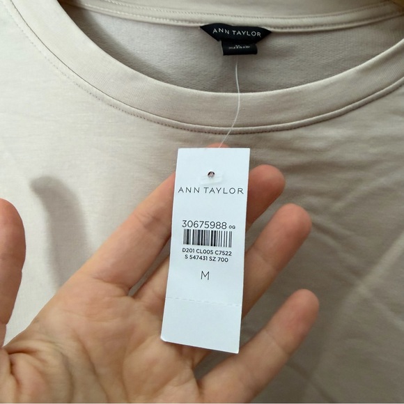 NEW Ann Taylor Ruffled Crewneck Neutral Sweatshirt Pullover Size Medium 346 - Picture 7 of 10